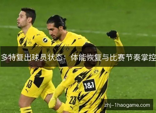 多特复出球员状态：体能恢复与比赛节奏掌控